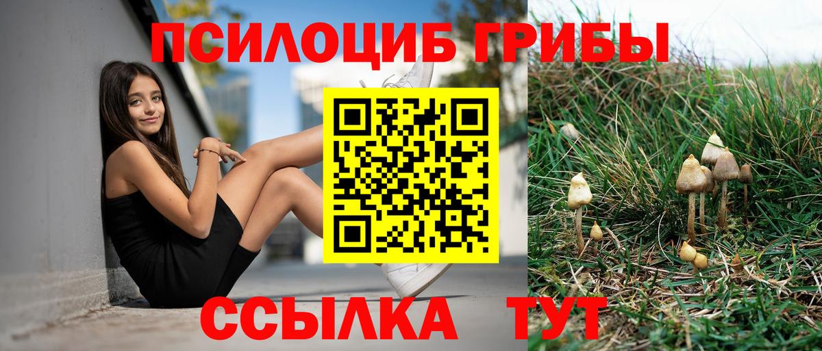 Саров  Псилоцибиновые грибы Psilocybe  Псилоцибиновые грибы MAGIC MUSHROOMS  Вход с VPN 