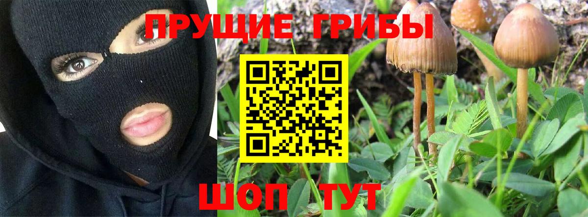 Псилоцибиновые грибы GOLDEN TEACHER Саров